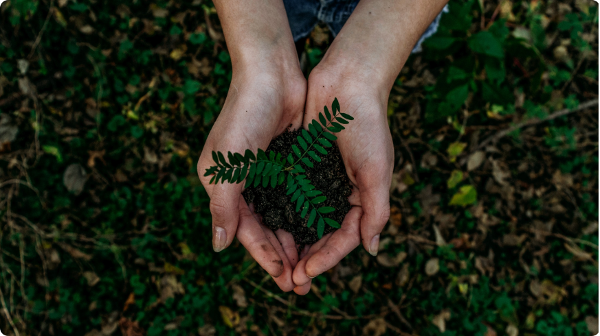 Changeons nos comportements en cette semaine du développement durable