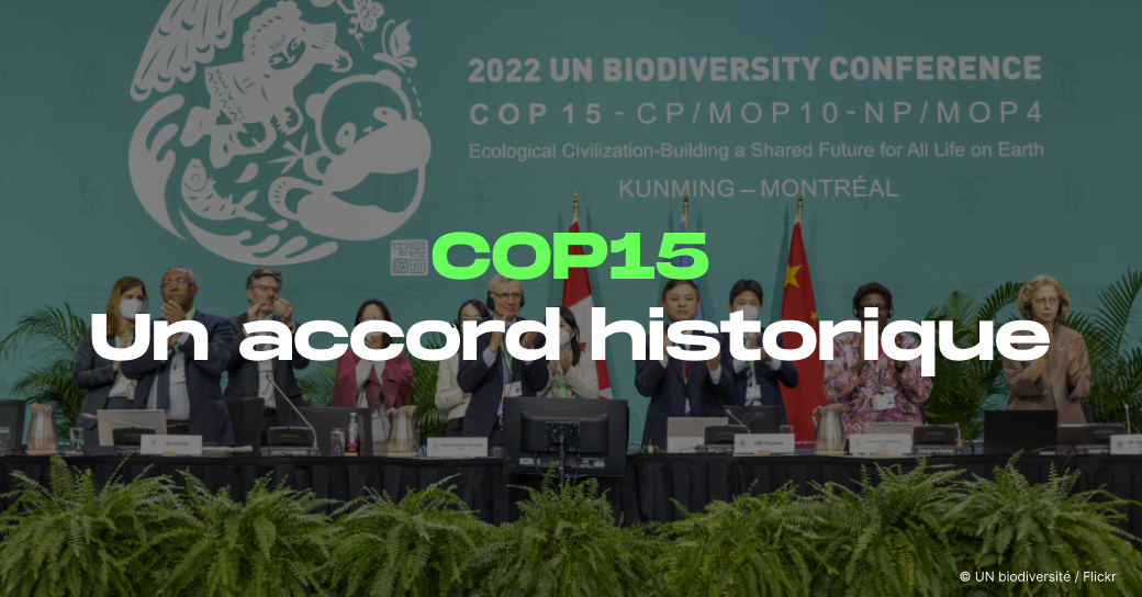 Cop15 : un accord historique